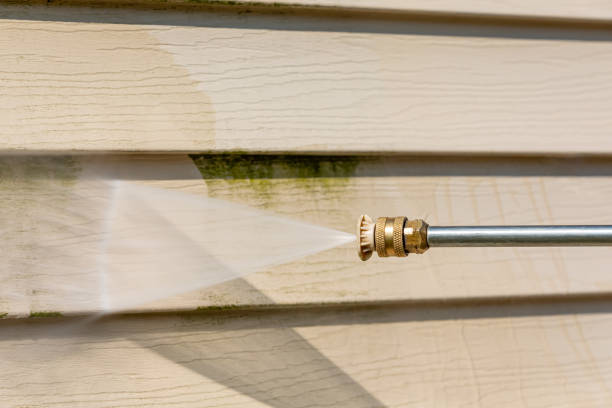 Best Roof Pressure Washing  in Hawi, HI